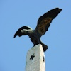 Monumenti